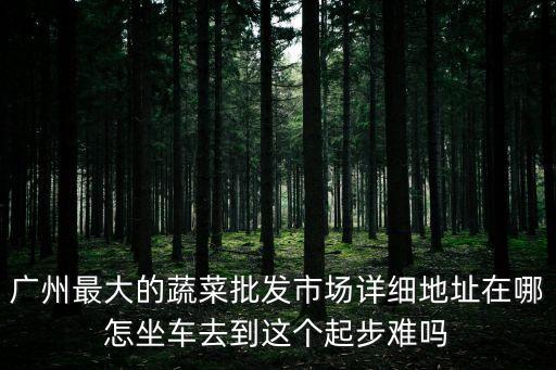 廣州市嘉華菜市場(chǎng)地址，廣州窖口嘉華是什么地方是在那里說(shuō)仔細(xì)點(diǎn)