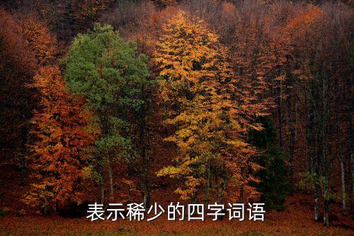 表示稀少的四字詞語