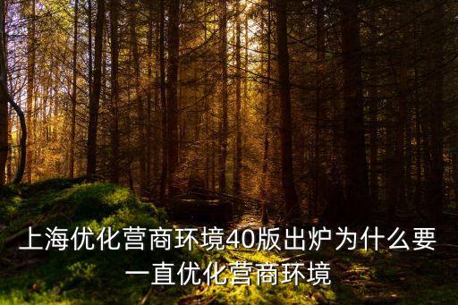 上海優化營商環境40版出爐為什么要一直優化營商環境
