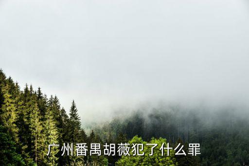 廣州人工干細胞事件，廣州糖尿病醫院專家使用干細胞移植治療糖尿病資歷深不深