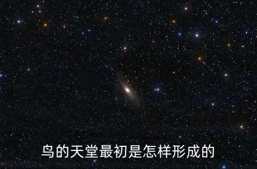 鳥的天堂最初是怎樣形成的