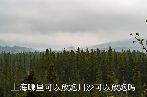 上海哪里可以放炮川沙可以放炮嗎
