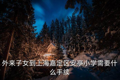 外來子女到上海嘉定區安亭小學需要什么手續