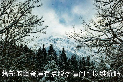 廣州塔輪修復噴陶瓷經銷商，塔輪的陶瓷層有點脫落請問可以維修嗎