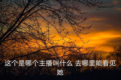 這個是哪個主播叫什么 去哪里能看見她