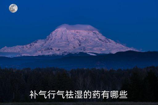 補氣行氣祛濕的藥有哪些
