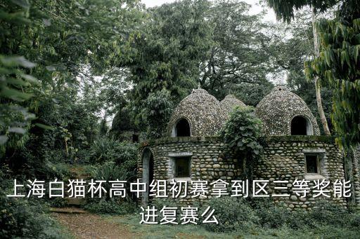 上海白貓杯高中組初賽拿到區三等獎能進復賽么