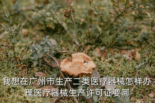 我想在廣州市生產二類醫療器械怎樣辦理醫療器械生產許可證要哪