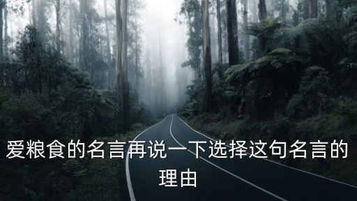愛糧食的名言再說一下選擇這句名言的理由