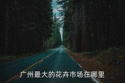 廣州最大的花卉市場(chǎng)在哪里