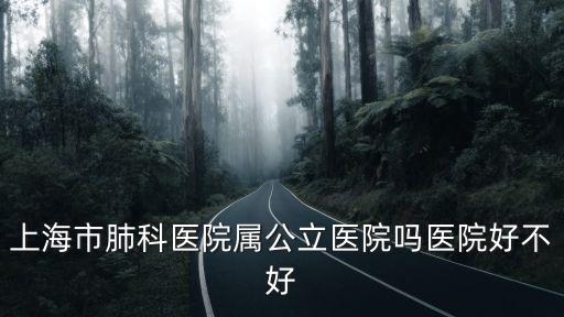 上海市肺科醫院屬公立醫院嗎醫院好不好