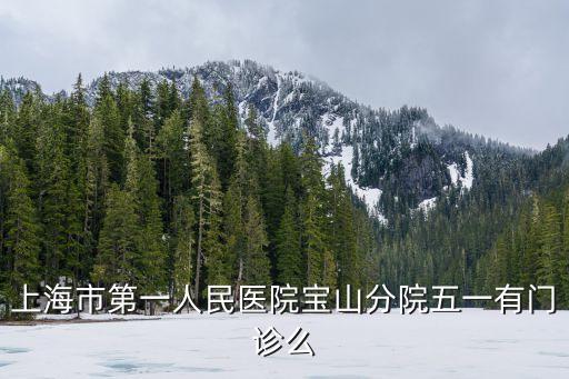 上海市第一人民醫院寶山分院五一有門診么