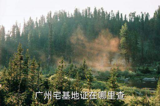 廣州宅基地證在哪里查