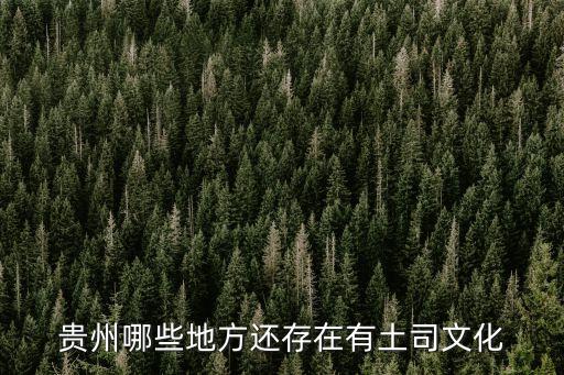貴州土司，貴州是何時取消土司衙門開始成為省一級行政單位的