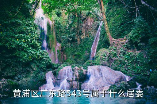 黃浦區(qū)廣東路543號(hào)屬于什么居委
