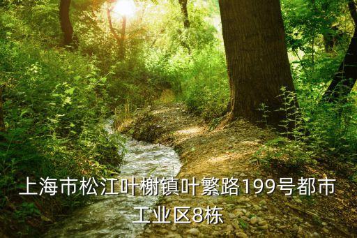 上海市松江葉榭鎮(zhèn)葉繁路199號(hào)都市工業(yè)區(qū)8棟