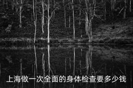 上海做一次全面的身體檢查要多少錢