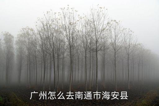 廣州到海安坐幾個小時，廣州坐大巴到海安要多長時間