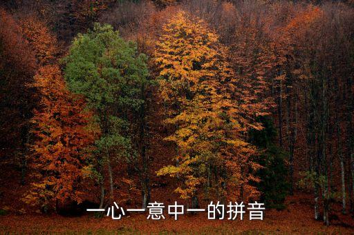 一心一意拼音，一心一意的兩個一的讀音是第一聲嗎