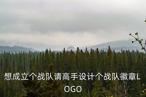 想成立個戰隊請高手設計個戰隊徽章LOGO