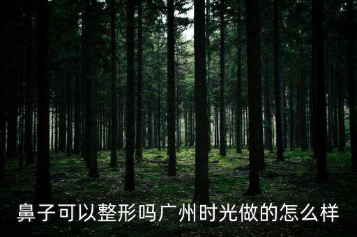 鼻子可以整形嗎廣州時光做的怎么樣