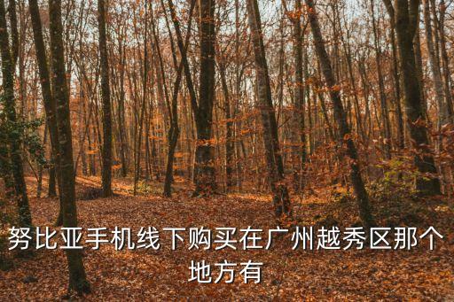努比亞手機(jī)線下購買在廣州越秀區(qū)那個(gè)地方有