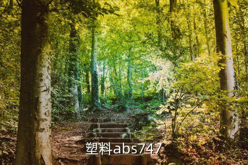 廣州abs吸塑圖片，廣州ABS塑料電鍍