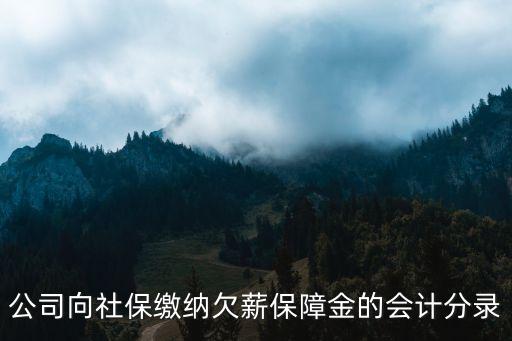 上海市欠薪保障金是什么，欠薪保障金是社保嗎如何做帳公司以前的會計做進社保里了我感