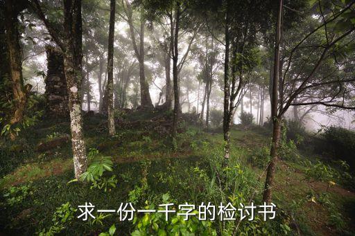 1000字檢討書，1000字檢討書