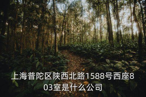 上海普陀區(qū)陜西北路1588號西座803室是什么公司