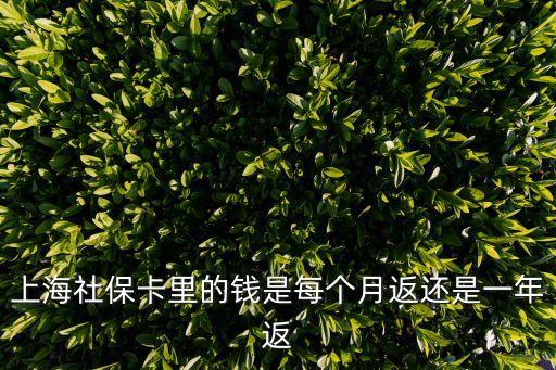 上海社保卡里的錢是每個月返還是一年返