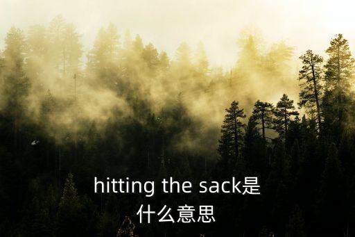hitting，with sth hitting 是什么意思