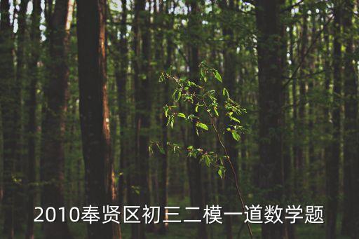2010奉賢區初三二模一道數學題