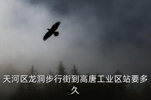 天河區龍洞步行街到高唐工業區站要多久