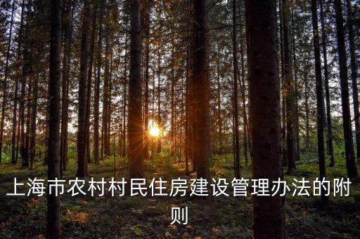 上海市農村村民住房建設管理辦法的附則