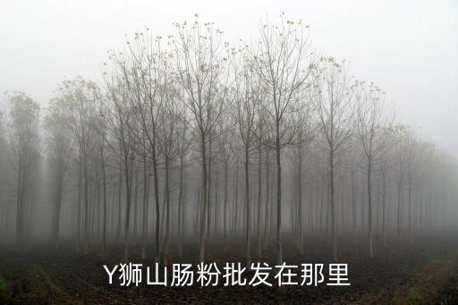 Y獅山腸粉批發在那里
