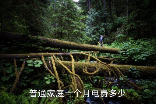 普通家庭一個(gè)月電費(fèi)多少
