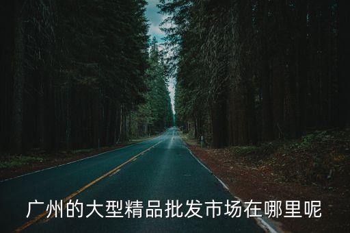 廣州的大型精品批發市場在哪里呢