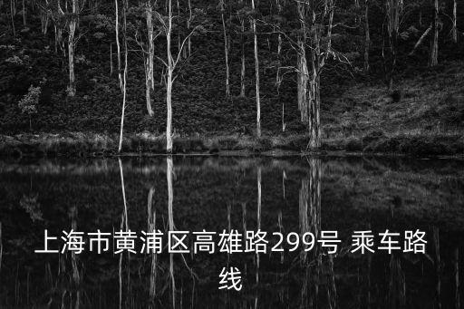 上海市黃浦區高雄路299號 乘車路線
