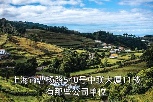 上海市興農建筑有限公司，上海市光復路195號四行創意倉庫409室公司挺大的 公司叫什么名字