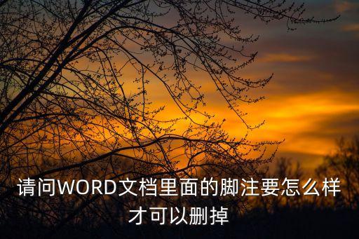 腳注怎么刪除，在WORD如何去除腳注