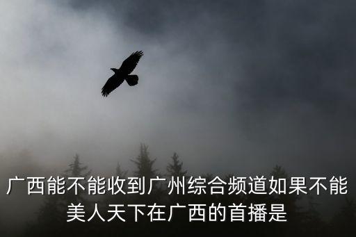 廣州綜合頻道包裝2013，廣西能不能收到廣州綜合頻道如果不能美人天下在廣西的首播是