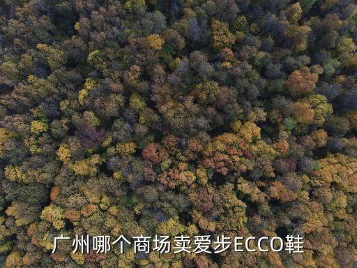廣州哪個商場賣愛步ECCO鞋