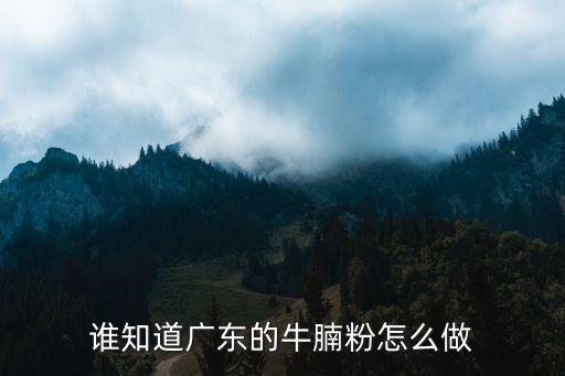 廣州正宗牛腩粉的做法，誰知道廣東的牛腩粉怎么做