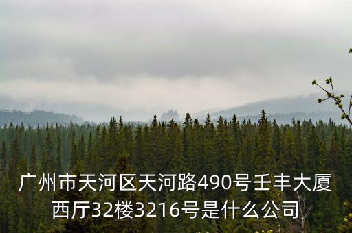 廣州市天河區天河路490號壬豐大廈西廳32樓3216號是什么公司