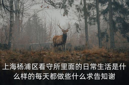 上海市看守所每日，閔行區(qū)看守所的每日伙食是什么