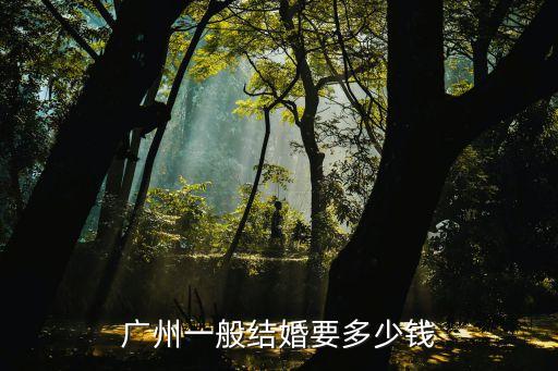 廣州結婚費用多少錢，廣州結婚登記需要多少錢