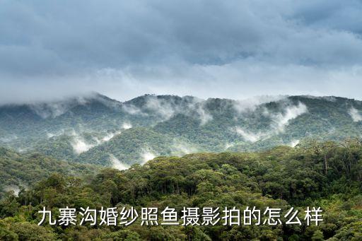 魚攝影，攝影怎樣拍攝魚類