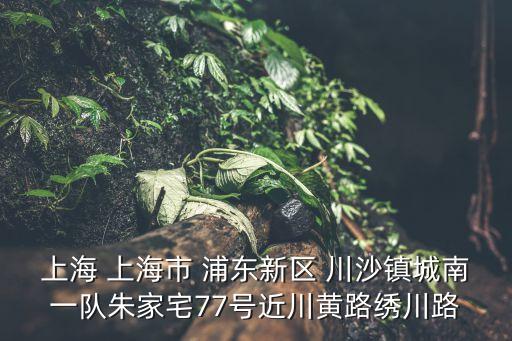 上海 上海市 浦東新區(qū) 川沙鎮(zhèn)城南一隊朱家宅77號近川黃路繡川路