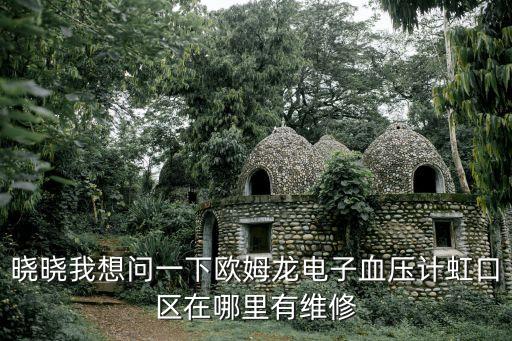 曉曉我想問一下歐姆龍電子血壓計虹口區在哪里有維修